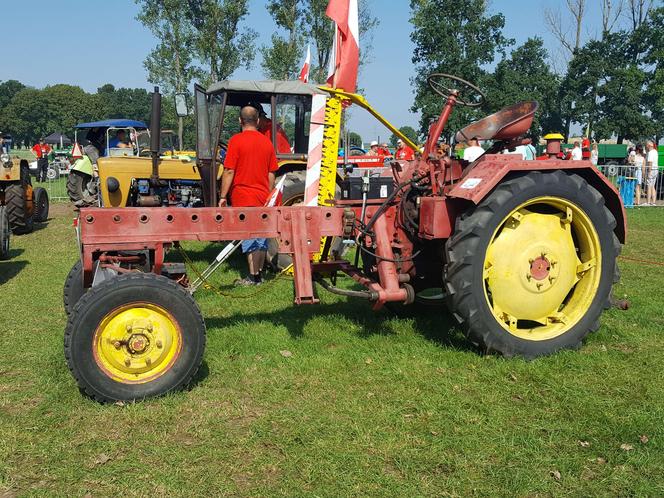 Festiwal starych ciągników w Wilkowicach. Setki maszyn, tysiące widzów i upał