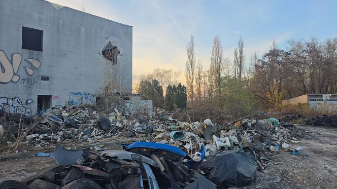 Duże zmiany Nowej Hucie. Trwa wielkie sprzątanie po latach zaniedbań 