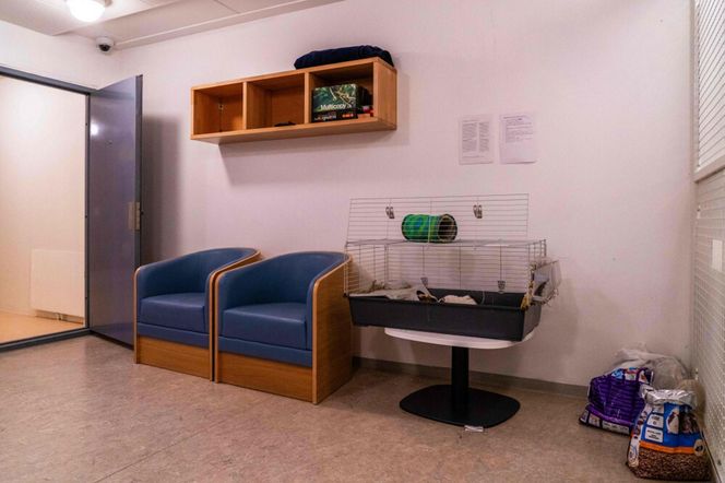 Rocznica zamachów Oslo 2011 Anders Breivik