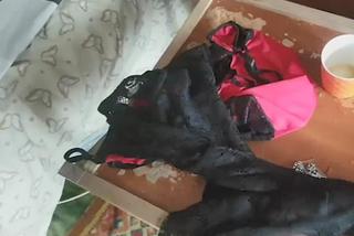 26-latka nagrywała porno z 4-letnim synkiem