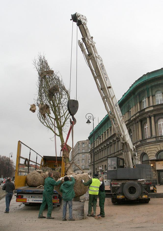 Zazielenianie stolicy. Posadzą 2137 nowych drzew i krzaków! „Nowoczesna Warszawa to miasto zielone”