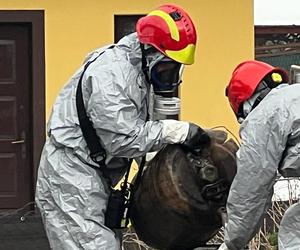 Tajemnicze beczki w Rytrze.  W akcji strażacy z Nowego Sącza 