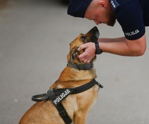 Policjanci dał dom psim emerytom