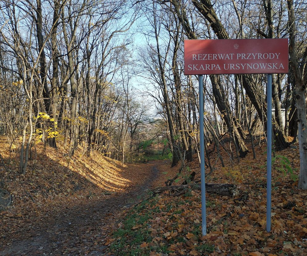 Zamykają rezerwat przyrody. To niezbędne wobec rosnącego ryzyka