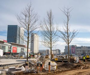 Plac Centralny w budowie (styczeń 2025)