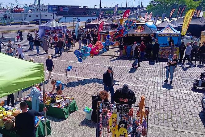 Piknik nad Odrą
