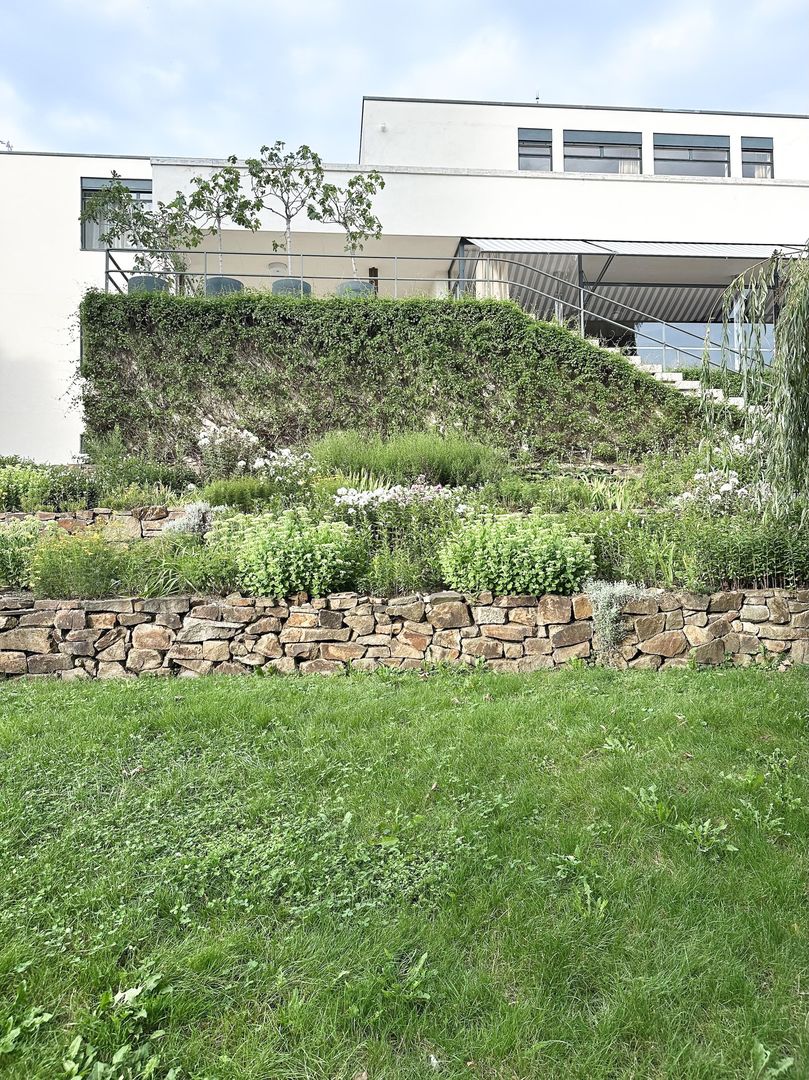 Willa Tugendhatów w Brnie