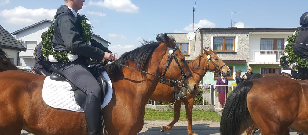 Gliwice: Konna procesja przeszła ulicami Ostropy