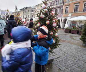  Zamojskie przedszkola i szkoły dekorowały choinki