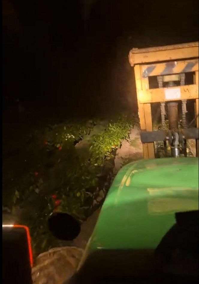 Rolnik rozdają paprykę za darmo! Ceny na skupie to dramat