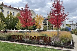 Park im. Wisławy Szymborskiej w Krakowie jednak bez zabudowy? Władze miasta przyjęły uchwałę