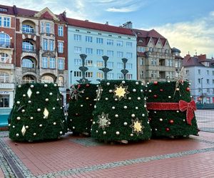 Świąteczne przygotowania w Bytomiu. Pierwsze drzewka już rozświetlają miasto