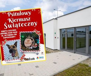 Schronisko Psitulmnie zaprasza na Świąteczny Kiermasz. Spełnij marzenia bezdomnych zwierzaków