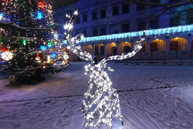 Świąteczne iluminacje na Zamku Książąt Pomorskich