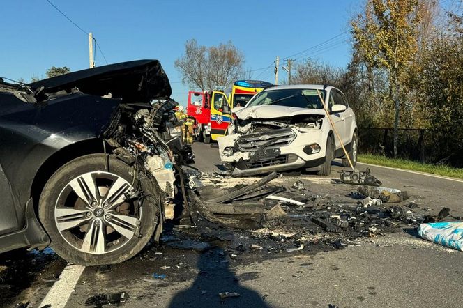 Poważny wypadek pod Mielcem. Czołowe zderzenie forda i hyundaia. 1,5-roczne dziecko zabrał śmigłowiec [ZDJĘCIA]