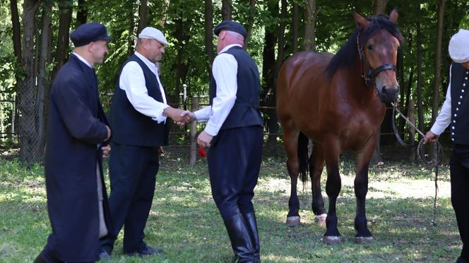 Jarmark koński w lubelskim skansenie przyciągnął tłumy