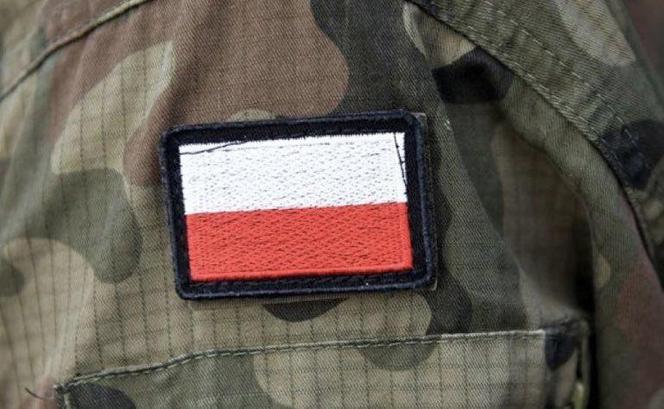 Wojsko Polskie na ratunek Słowenii