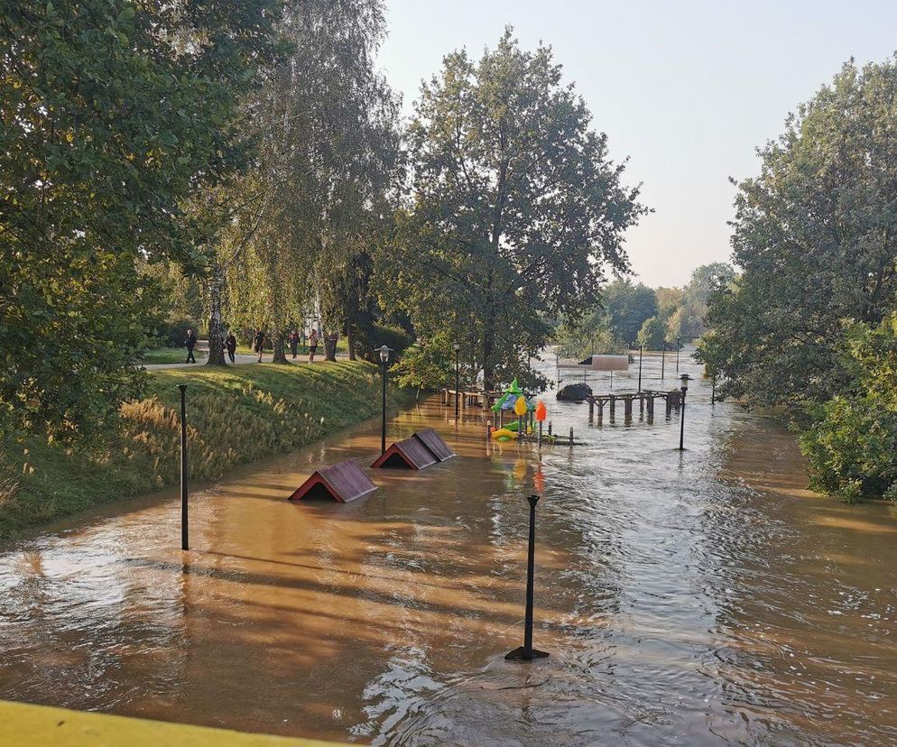 Wzrasta poziom wody na Bobrze w Nowogrodzie Bobrzańskim. W wale w Żaganiu powstała dziura