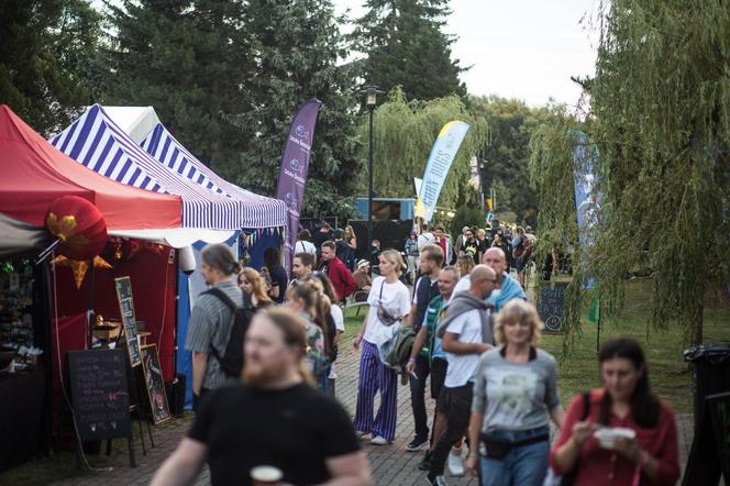 2. Dzień OFF Festivalu w Katowicach: Wzruszenie Edyty Bartosiewicz, niezapomniany koncert Grace Jones