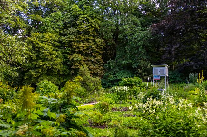 7 najładniejszych ogrodów botanicznych w Polsce. Kiedy je odwiedzić i gdzie są?