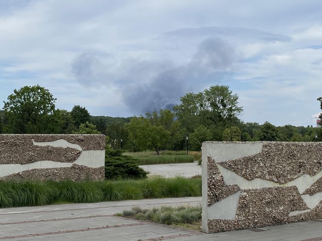 Pożar w Siemianowicach Śląskich