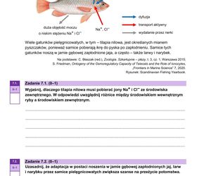 Matura 2025 z biologii – ARKUSZ Formuła 2023