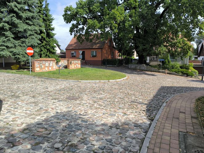 Lapidarium i stary cmentarz żydowski w Osiecznej