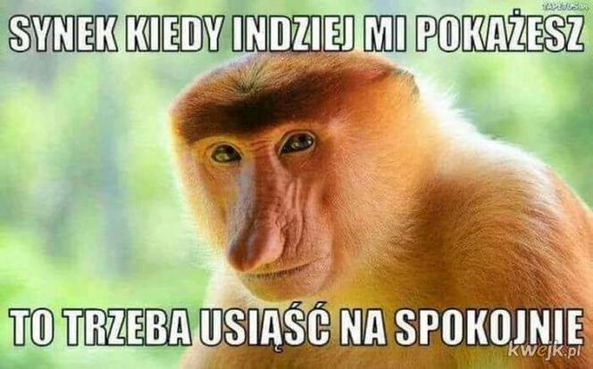 Memy na Dzień Ojca 2026. Zobacz najśmieszniejsze obrazki z tatą w roli głównej [GALERIA]