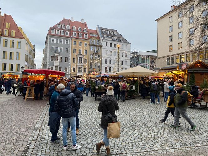 Najstarszy jarmark bożonarodzeniowy w Niemczech. Drezno zachwyca turystów z całego świata 