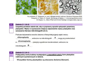 Matura biologia 2025 - odpowiedzi