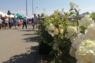 Siedlce: XXXI Międzynarodowe Dni z Doradztwem Rolniczym już w ten weekend