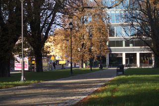 Na zrewitalizowany plac Kościeleckich w Bydgosczy wróciły autobusy! 