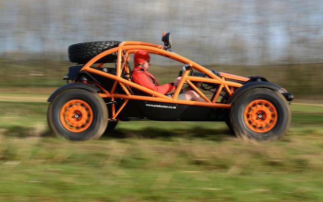 Ariel Nomad