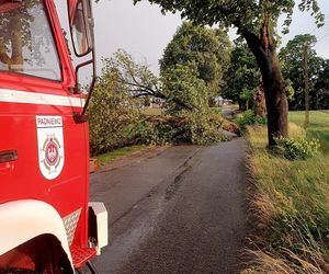 Potężna burza przeszła przez Bydgoszcz i region. Ponad 400 interwencji strażaków!