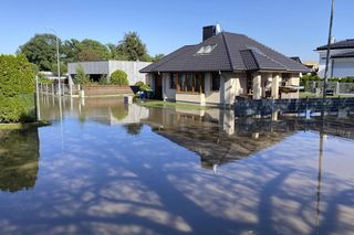 Ile kosztuje osuszanie po zalaniu w 2025 r.? Aktualne ceny osuszania domu