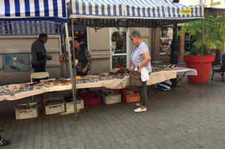 Nadwiślański Jarmark Staroci w Grudziądzu