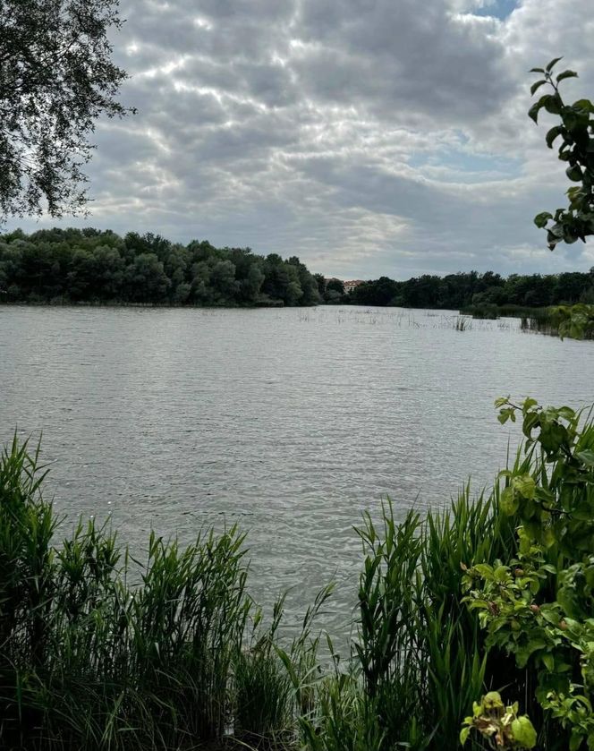 Dramatyczna akcja poszukiwawcza we Wrocławiu. Kobieta zaginęła przy stawach 