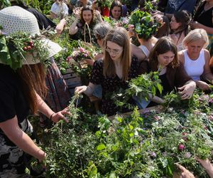 Wianki nad Wisłą 2025 w Warszawie - piknik