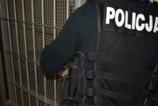 Gdynia: areszt dl 22-latka za znęcanie się nad kotem. Grozi mu 5 lat więzienia