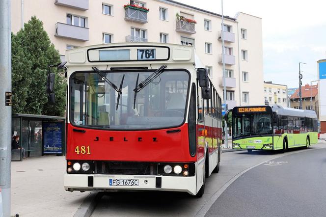 Stary, ale jary jelcz zabierze gorzowian w podróż 2 lipca  