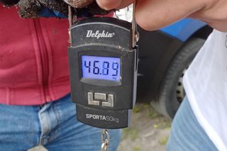 Sum gigant Rafała Kopra