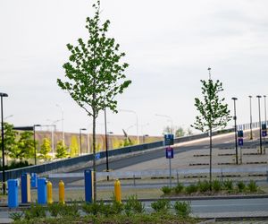 Tarczyński Arena