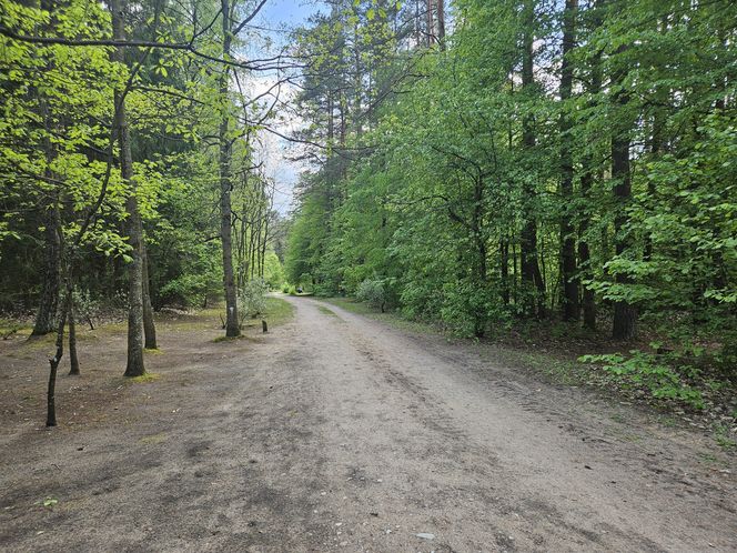 Kopna Góra