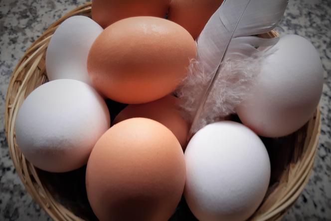 Czy kolor skorupki ma znaczenie? Jakie jajko na pisanki wybrać?