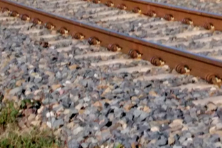 O krok od tragedii! 38-latka chciała rzucić się pod pociąg!