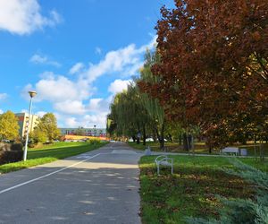 Najlepsze miejsca na jesienny spacer w Rzeszowie