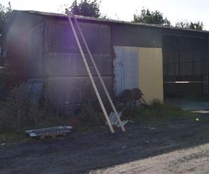 Uszczelniał dach, nagle runął na betonową posadzkę. 52-latek nie żyje