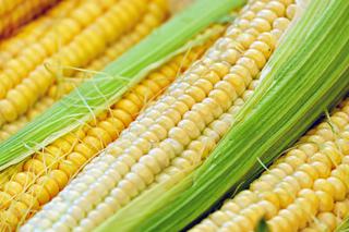 Gotowanie kukurydzy: jak długo gotować kukurydzę? [WIDEO]
