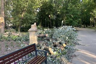 Rzeźba w parku przy Dąbrowskiego straciła głowę i nie tylko. Nie wiadomo, czy da się ją naprawić 