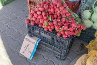 Byliśmy na bydgoskim targowisku. Tanio można kupić tylko wczorajsze rzodkiewki